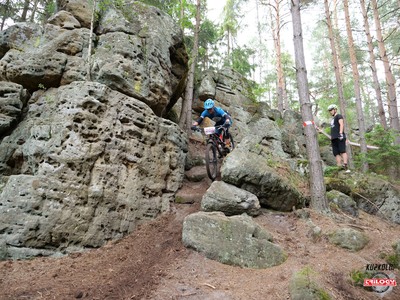 MTB Trilogy 2020
