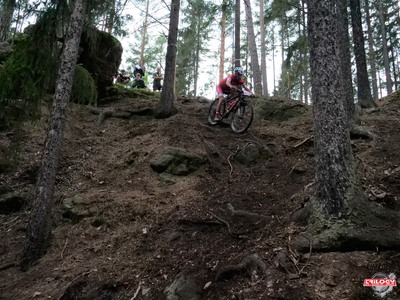 MTB Trilogy 2020