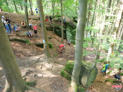 MTB Trilogy 2020