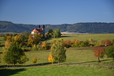 Šonov