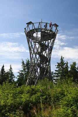 Rozhledna Borowa