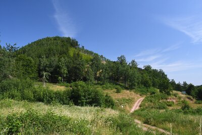 Kozí sedlo nad lázněmi Jedlina-Zdrój