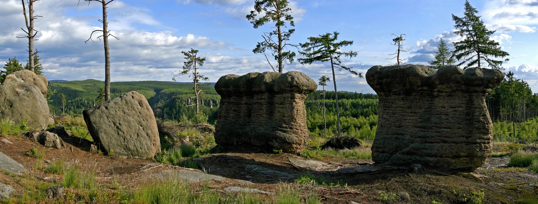 Slavenské hřiby