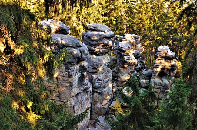 DZIEŃ 6. Góra stołowa Ostasz