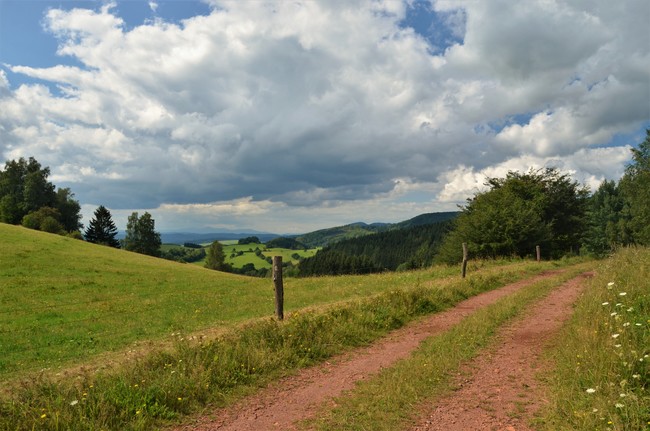 Vom Javoří-Gebirge nach Machov
