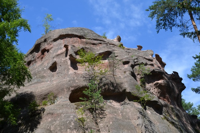 Z Aderszpachu do unikatowych Czarcich Skał i transgresji morza kredowego 