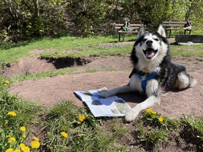 Letní Broumovsko 2025