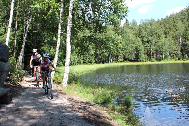 Trasa nr 4020 - Góry Stołowe