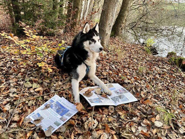 Zimní Broumovsko 2024