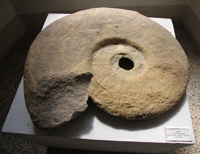 Muzeum Ziemi Broumovskiej