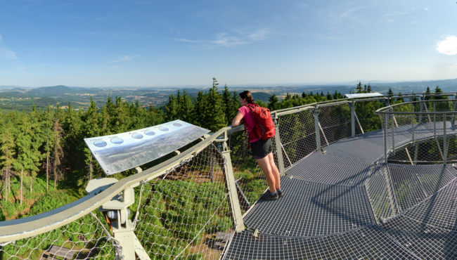 Rozhledna Borowa, Jedlina-Zdrój