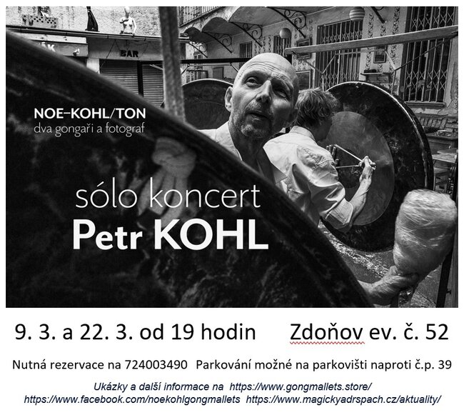 Sólo koncert Petr Kohl